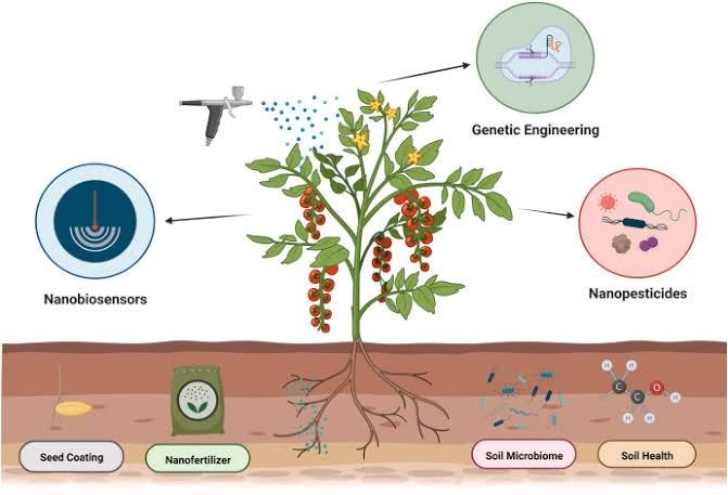 <p>Biotechnological Innovations for Climate-Resilient Agriculture</p>
