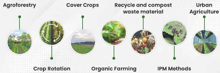 <p>Sustainable Agricultural Practices for Future Food Security</p>