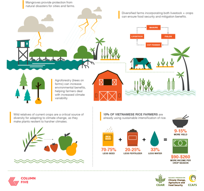 <p>Sustainable Farming Practices Improve Soil Health</p>