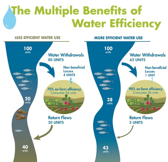 <p>Water Resource Management in Small-Scale Farming Systems</p>