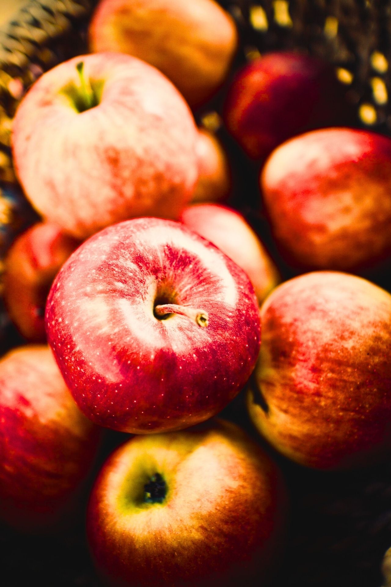 Agriculture Foodscience