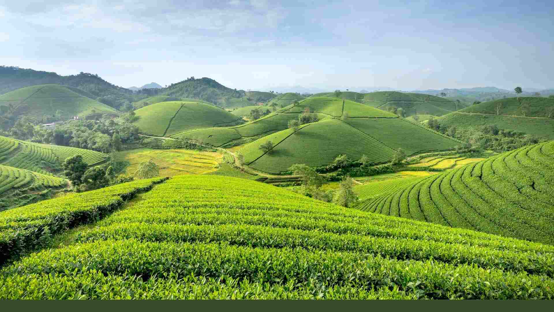 Eco-Tourism: Traveling Responsibly and Sustainably